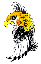 eagleattitude